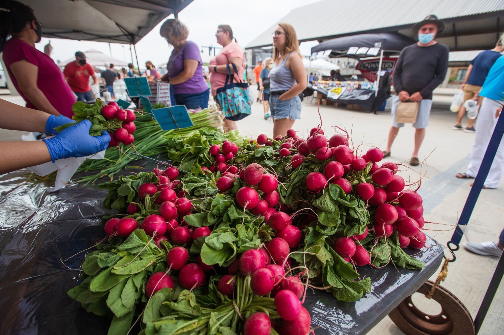 20200607_new_farmersmarket_zl2